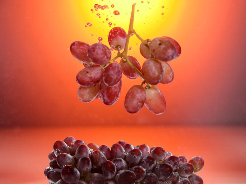 红提落水瞬间特写图片