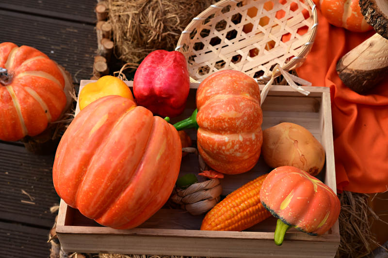 秋日丰收南瓜摆拍图片
