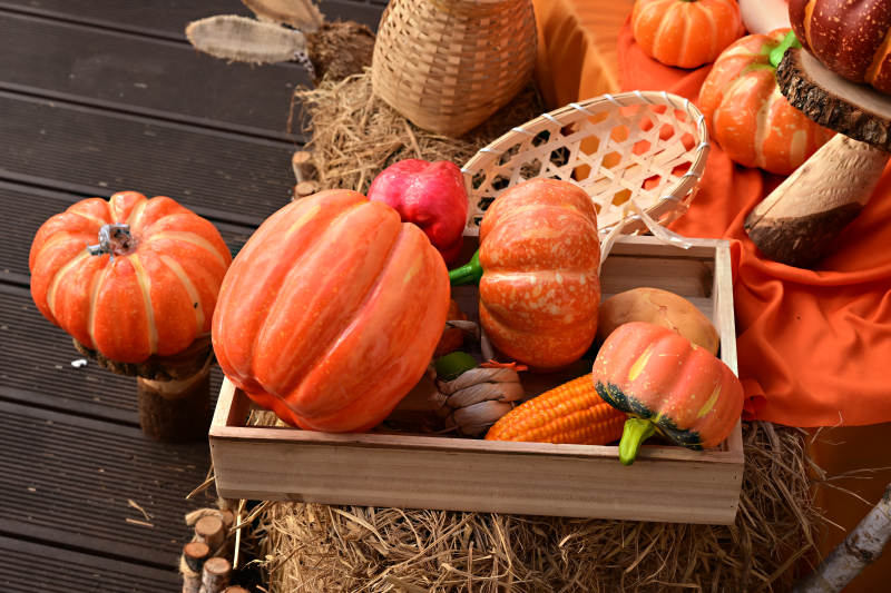 秋天丰收南瓜摆拍图片