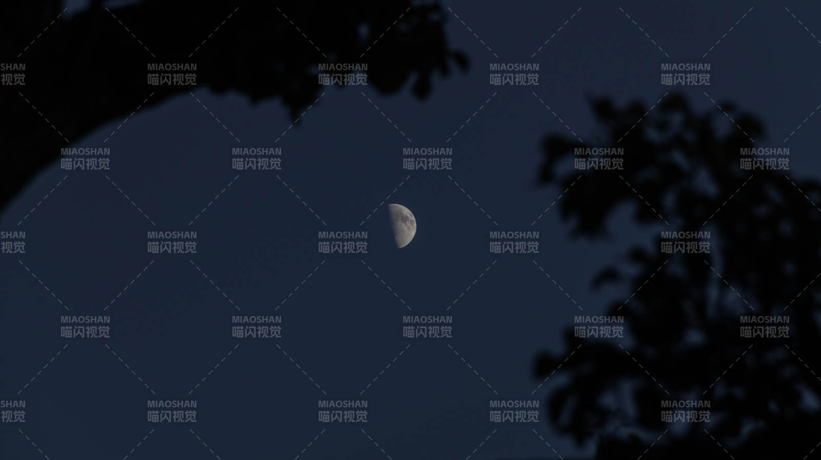 夜空中的弯月图片