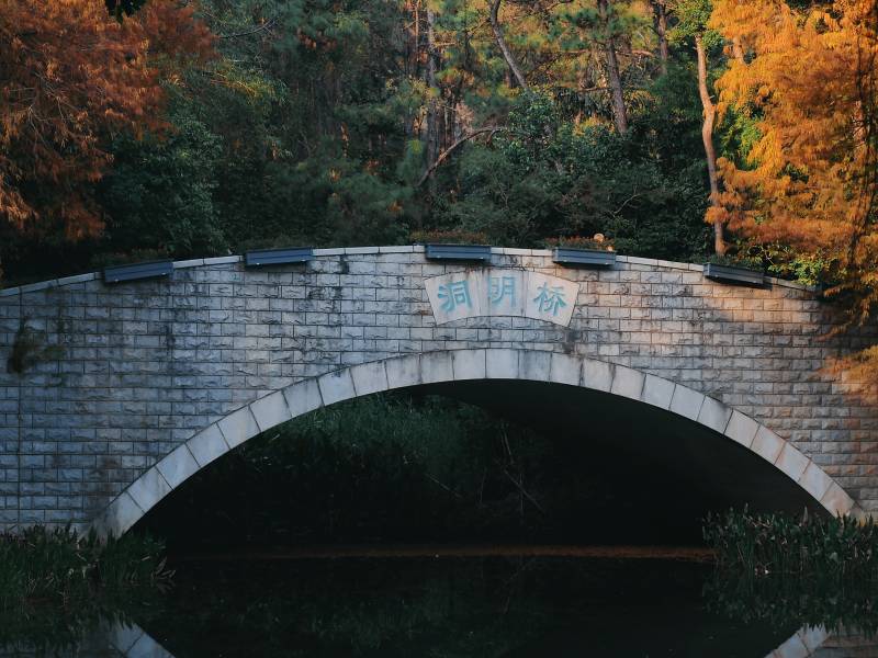 深圳笔架山公园内景图片
