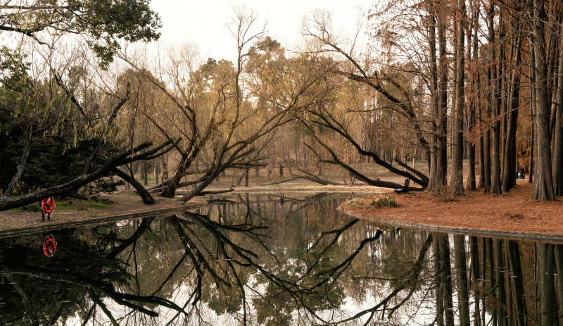 湖畔倒影静谧景图片