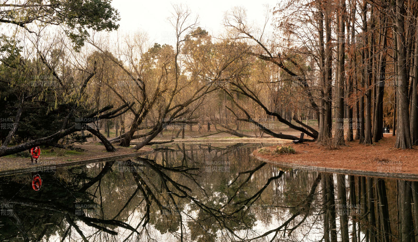 湖畔倒影静谧景图片