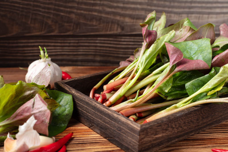 新鲜鱼腥草与蒜瓣图片