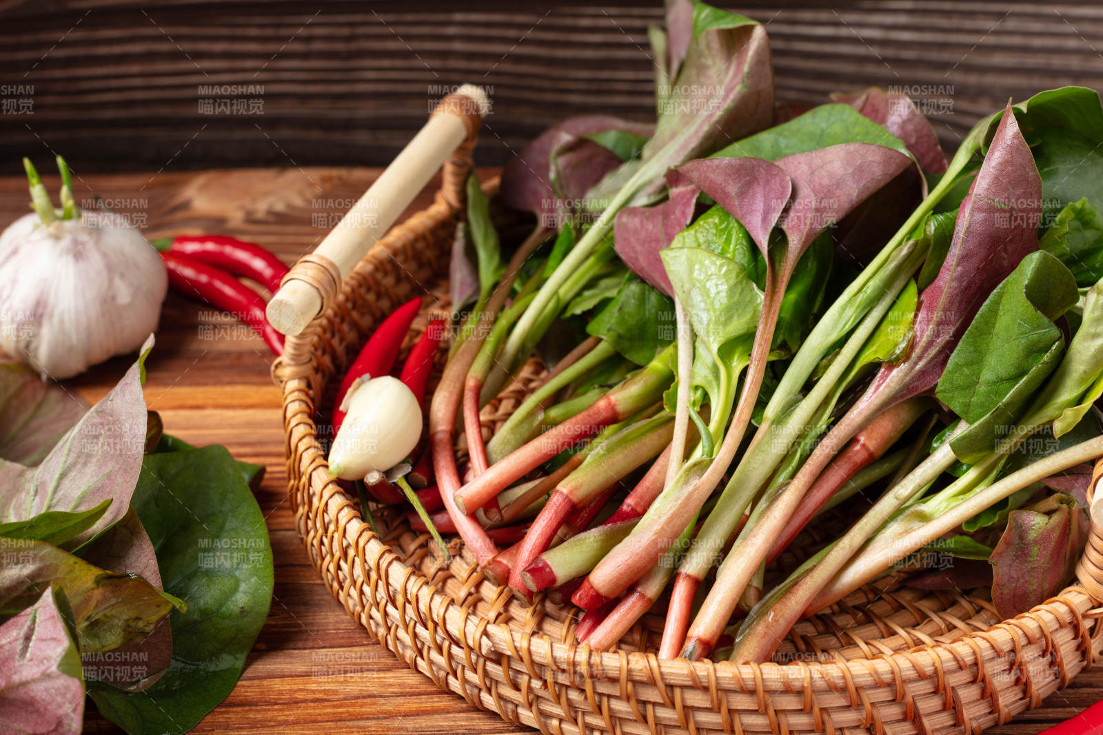 新鲜鱼腥草图片