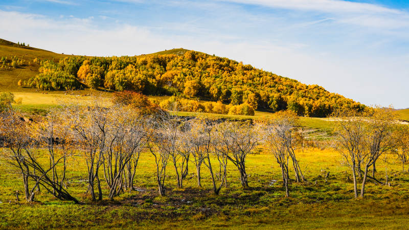 乌兰布统秋日草原风光图片