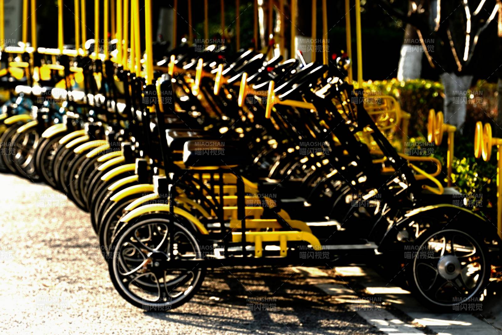 黄色自行车整齐排列图片
