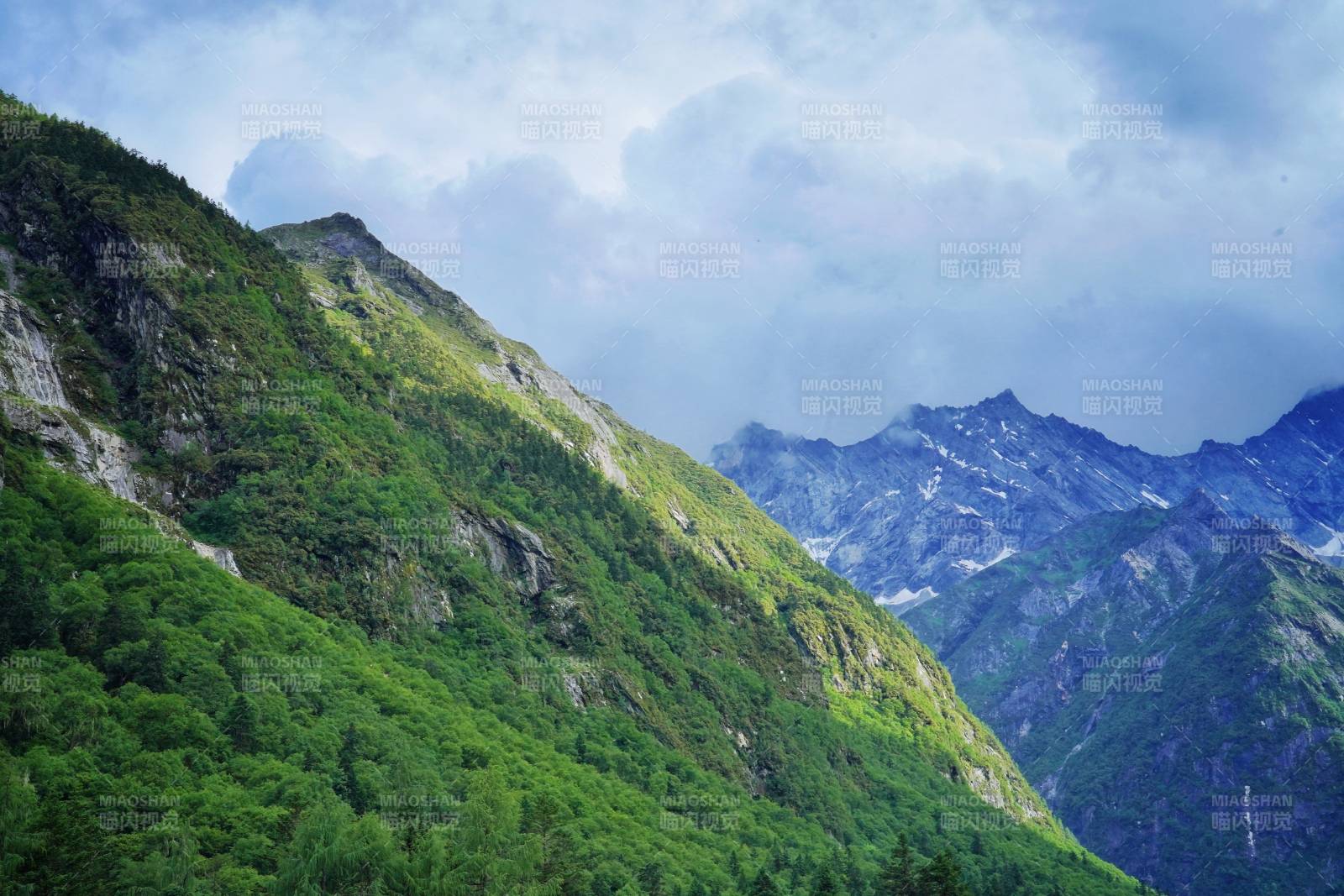 理小路的风景图片