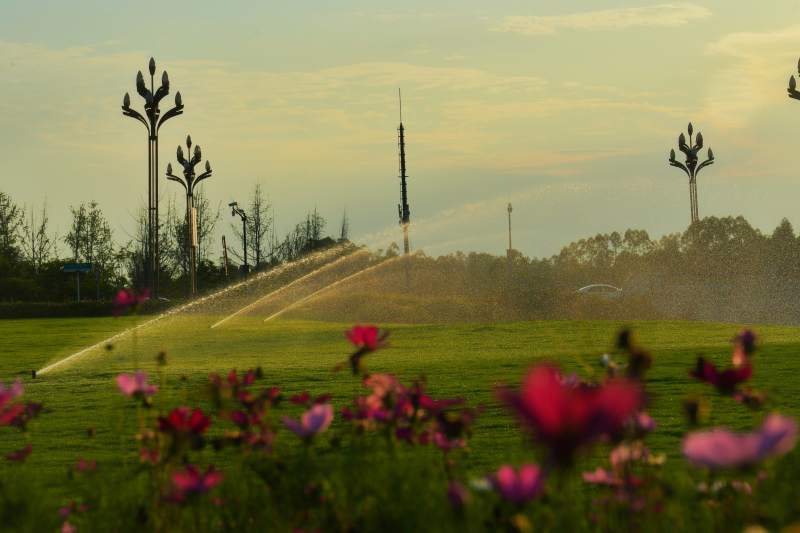 兴隆湖的喷泉花海晨光图片