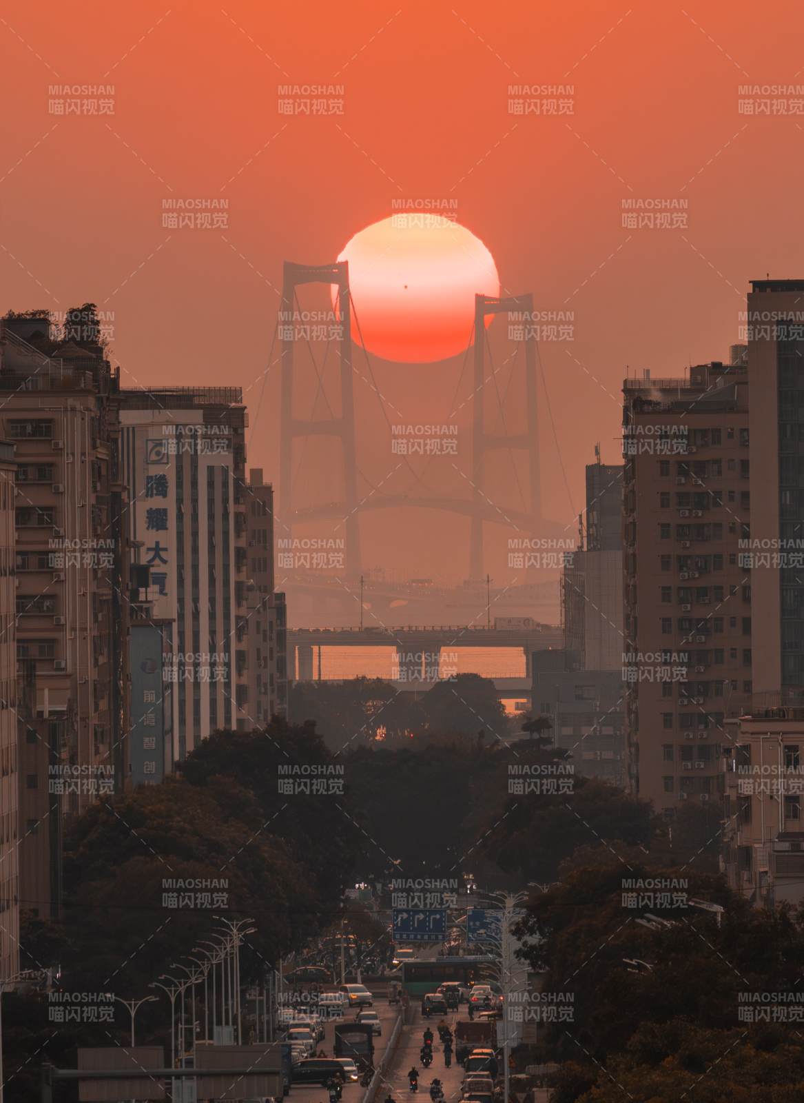 26.1.10深中通道悬日图片