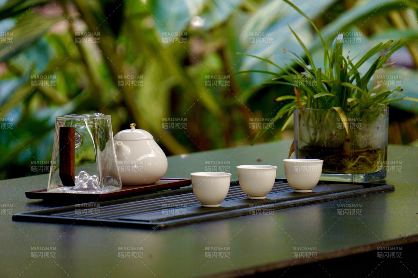 茶席静谧 绿意盎然图片
