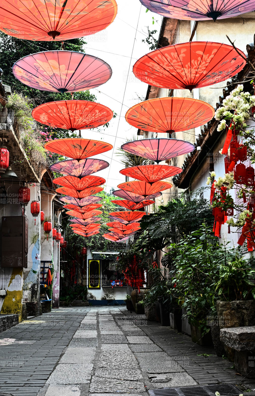 深圳甘坑客家古镇红伞巷道迎新春图片