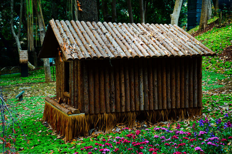 林间木屋花丛中图片