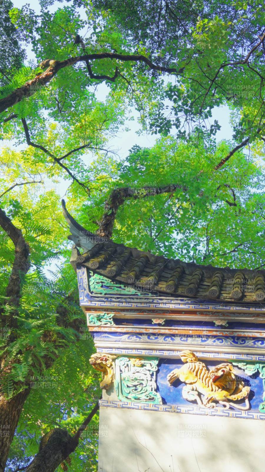 福州于山古檐绿树映蓝天图片