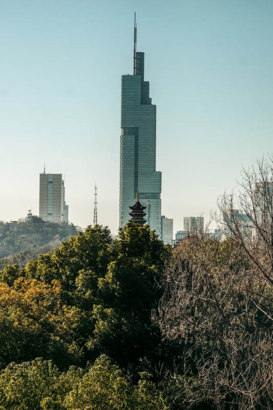 古鸡鸣寺与紫峰大厦同框图片