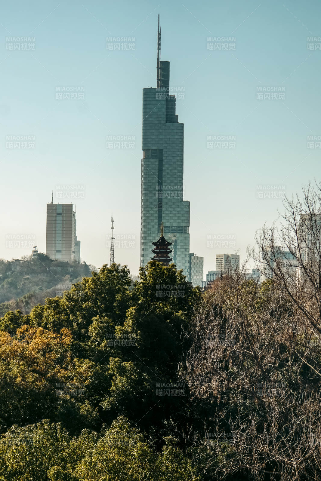 古鸡鸣寺与紫峰大厦同框图片