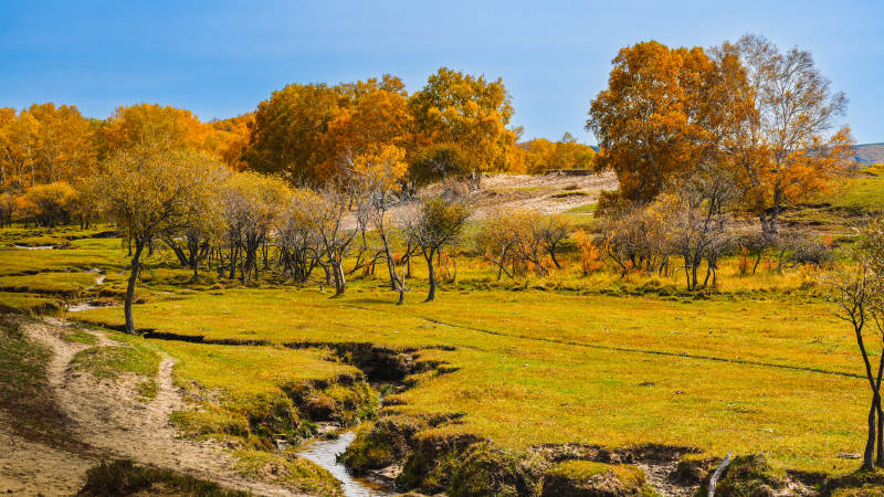 乌兰布统秋日田园风光图片