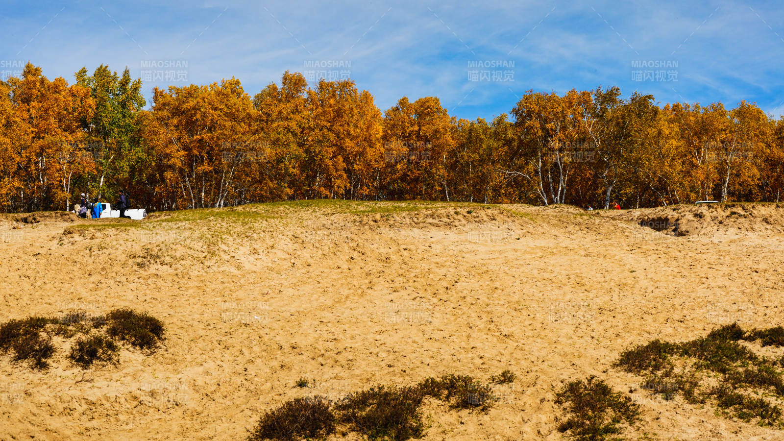 乌兰布统秋林沙地风光图片