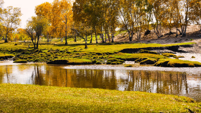 乌兰布统秋日湖畔风光图片
