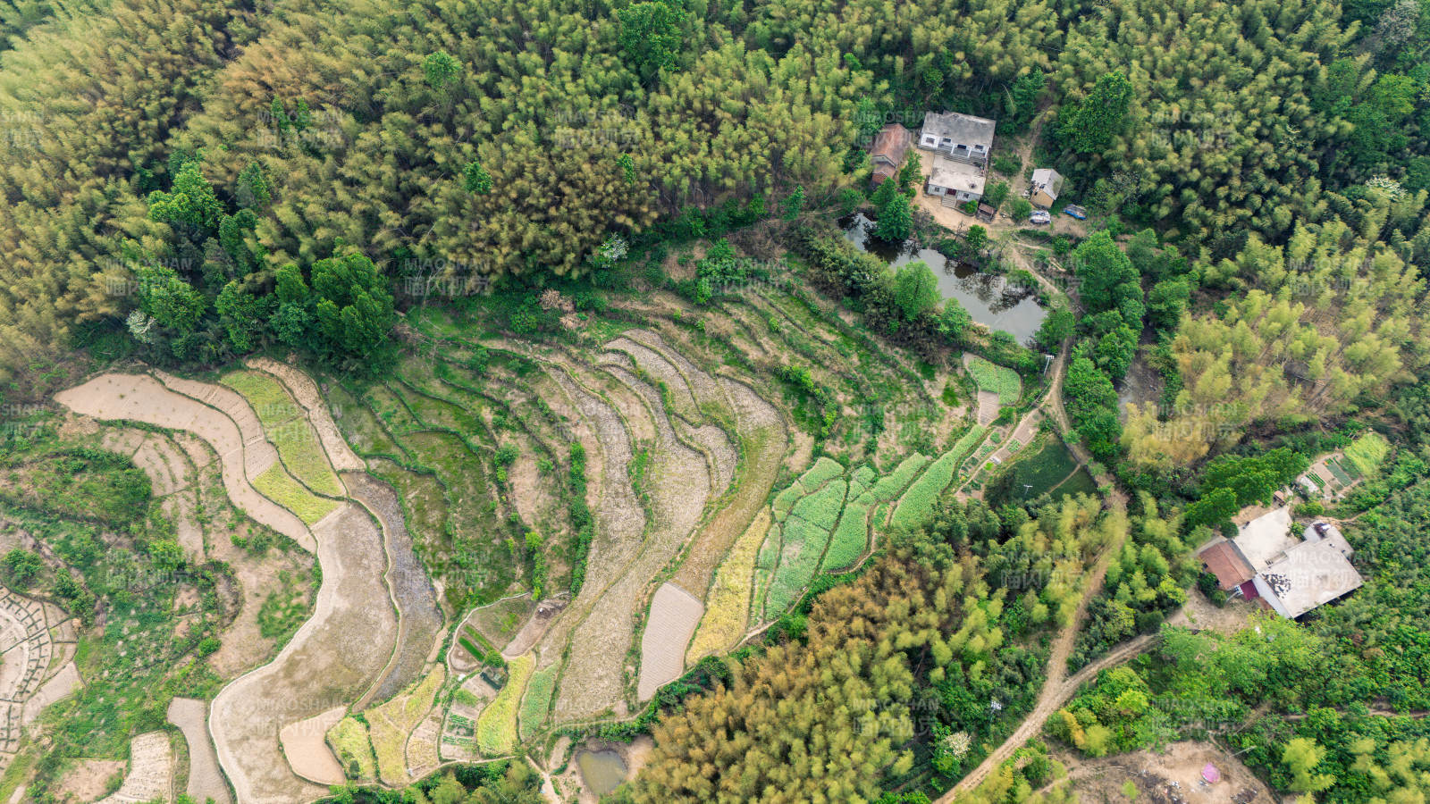 锁口梯田风光图片