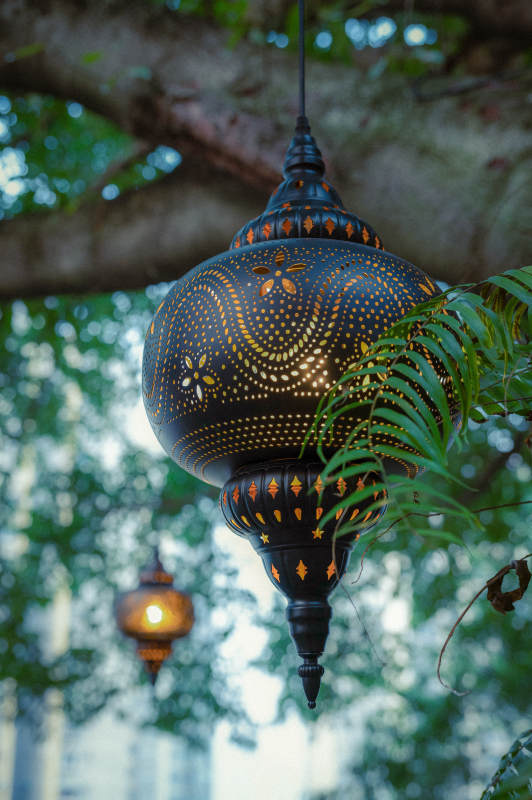 夜灯映绿意图片