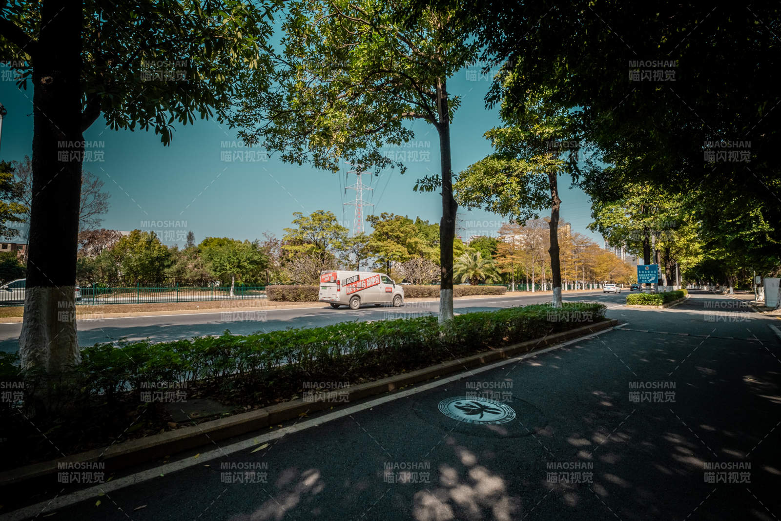 林荫道上的白色轿车图片