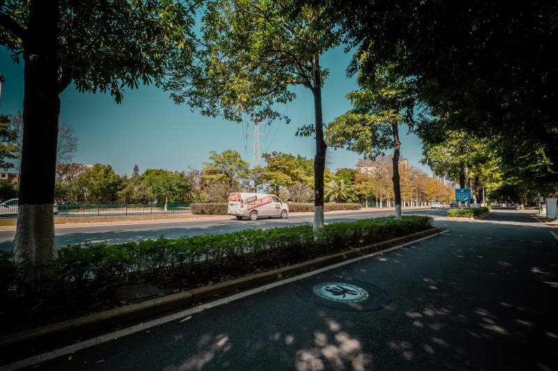 林荫道上的白色轿车图片