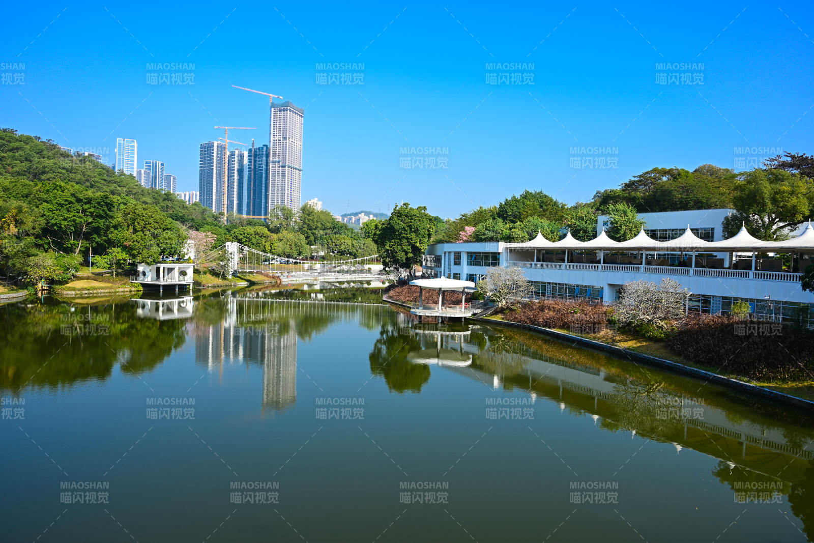 深圳东湖公园湖畔建筑与高楼倒影景观图片