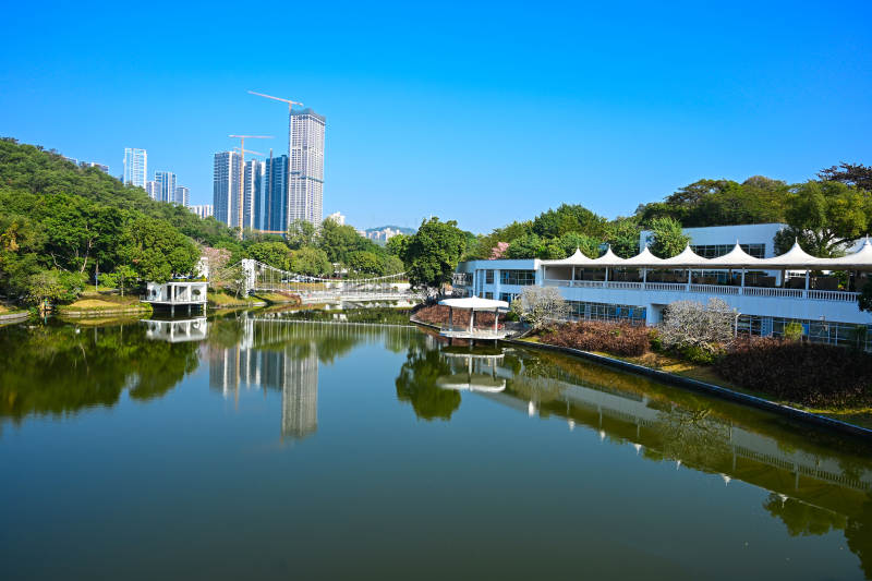 深圳东湖公园湖畔建筑与高楼倒影景观图片