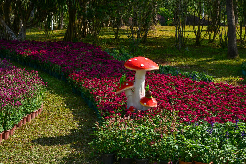 花海中的红色蘑菇雕塑造型图片