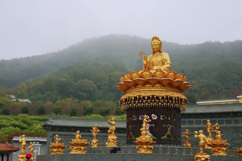 观音寺金佛莲花座山景图片