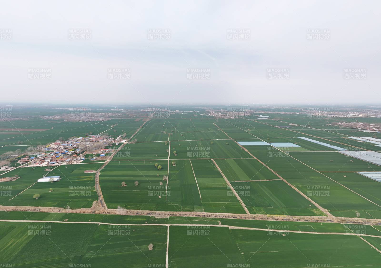 宿州绿野纵横 田园如画图片