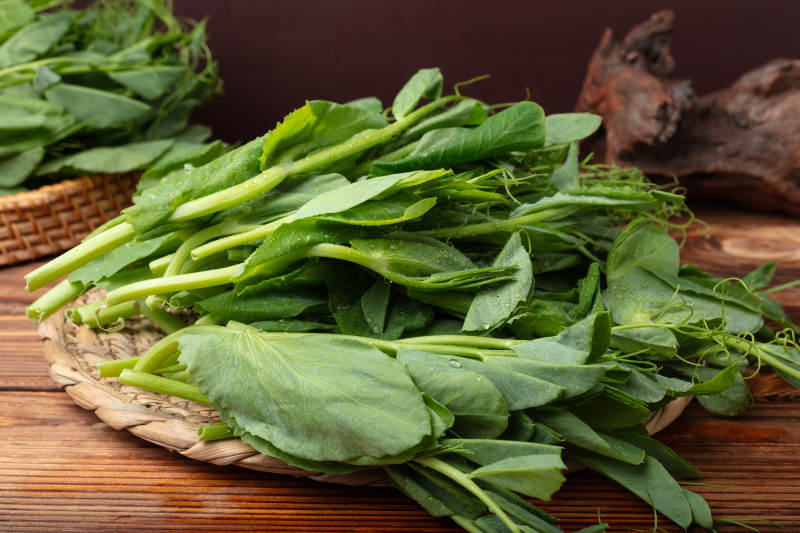 新鲜豌豆尖图片