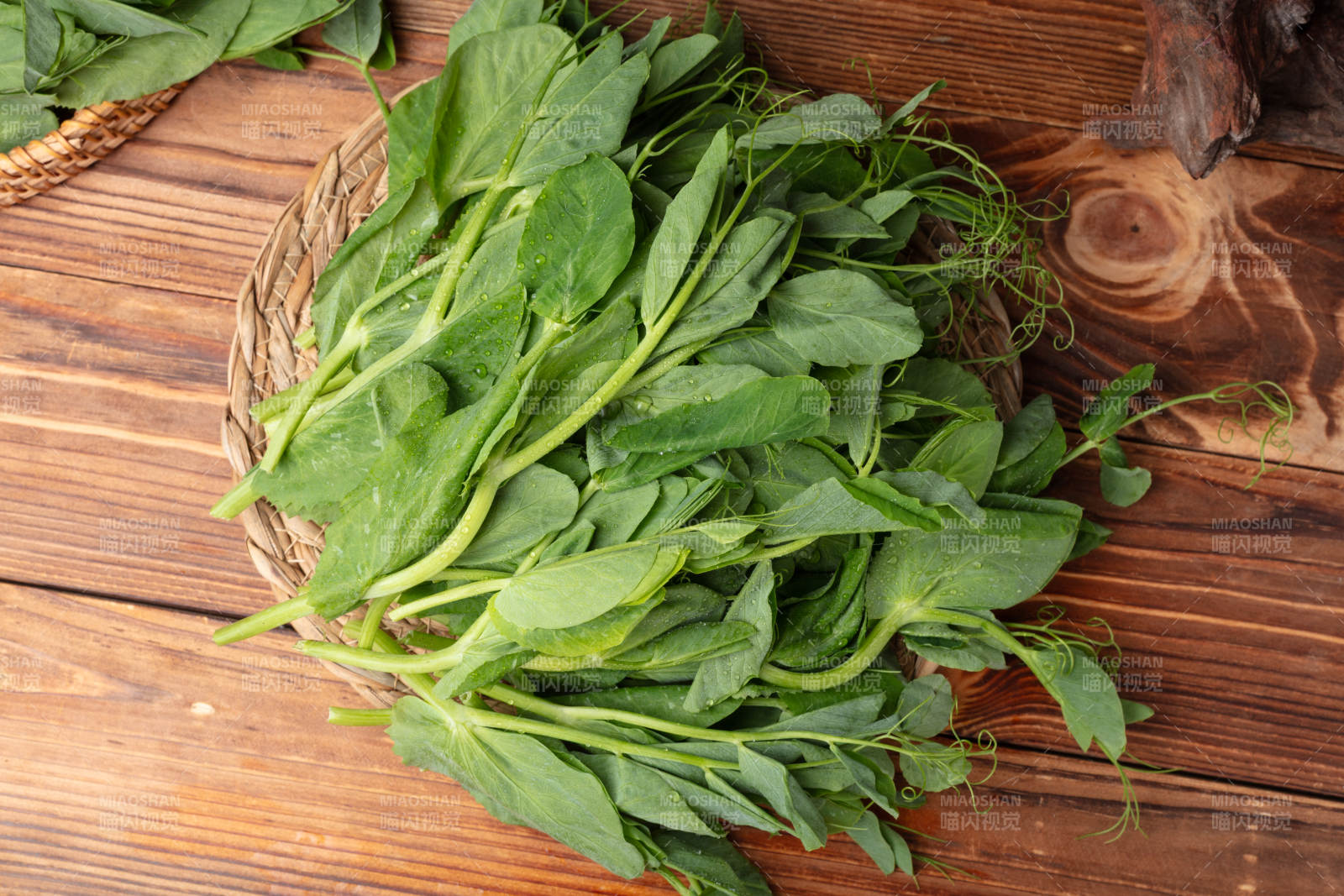 新鲜豌豆苗图片