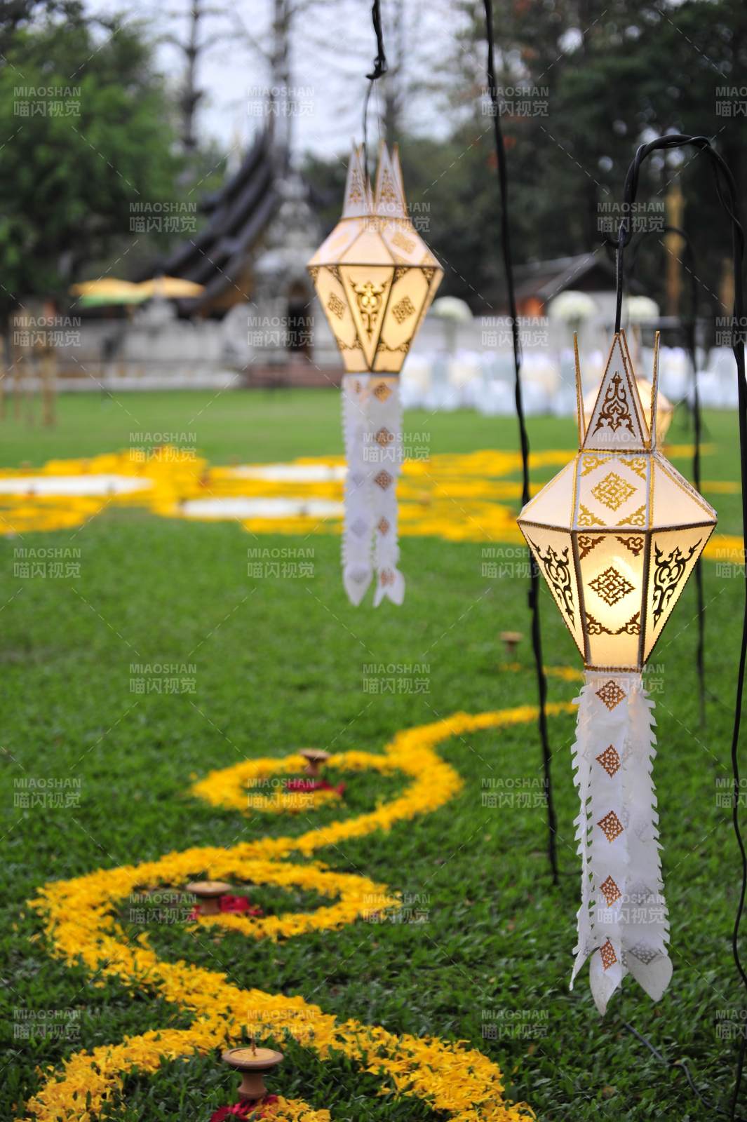 泰国花灯映绿茵图片