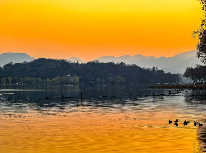 杭州西湖黄昏湖面金色晚霞图片