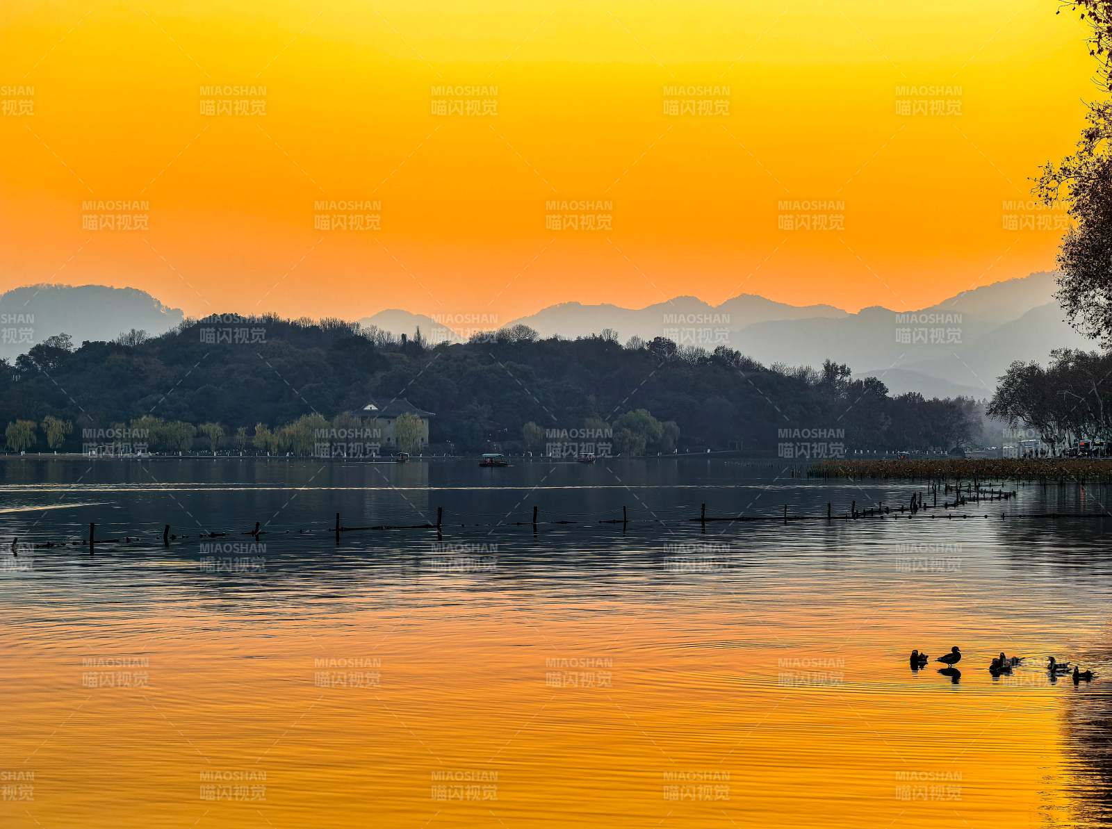 杭州西湖黄昏湖面金色晚霞图片