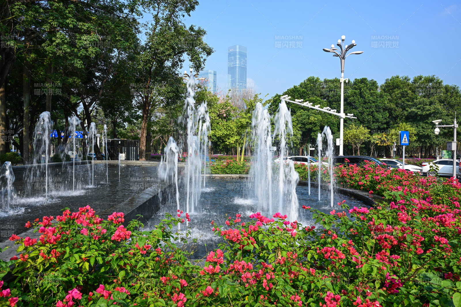 阳光下红花绿叶环绕的城市广场喷泉景观图片