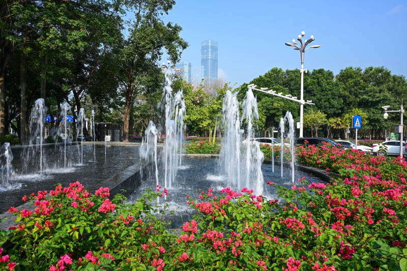 阳光下红花绿叶环绕的城市广场喷泉景观图片