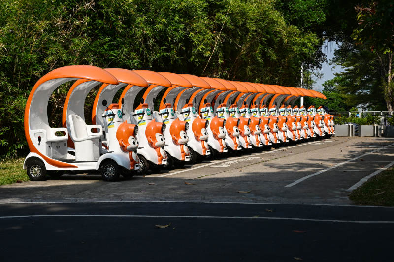 阳光下景区整齐排列的卡通造型观光游览车图片