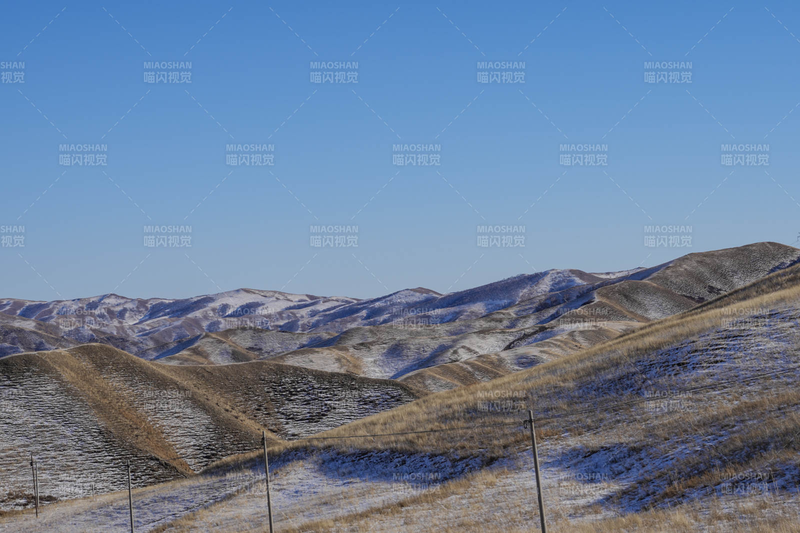 雪覆山丘半是金黄半是白图片