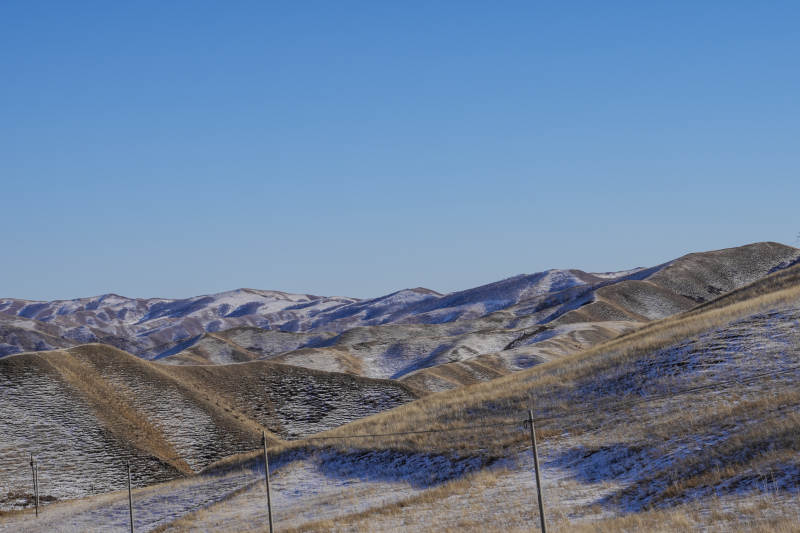 雪覆山丘半是金黄半是白图片