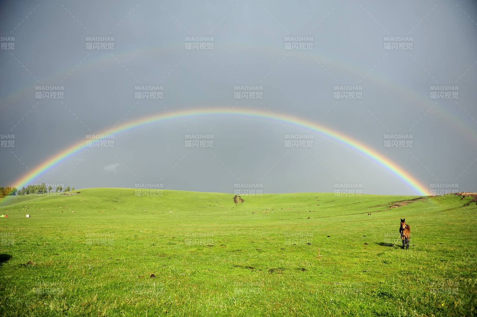 新疆彩虹下的草原图片