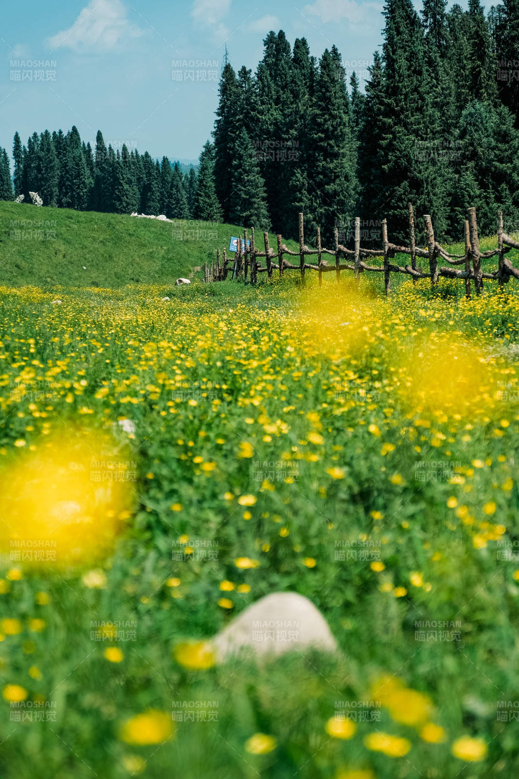 花海与木栅栏图片