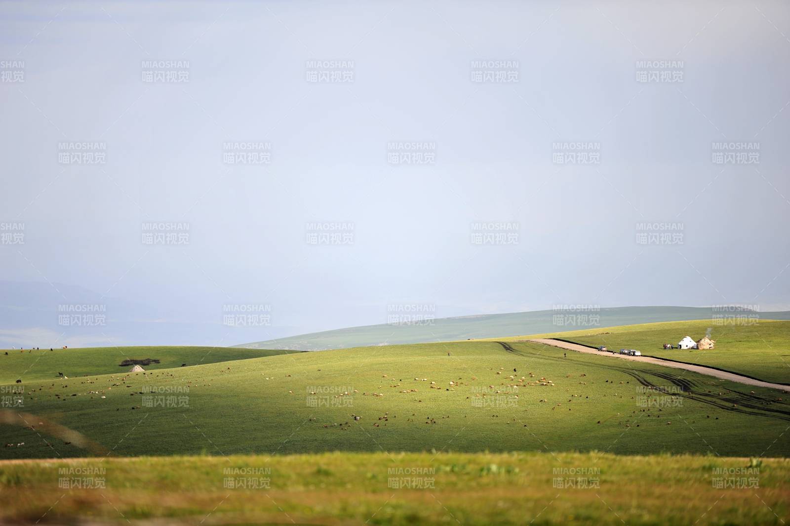 新疆草原公路远行图片