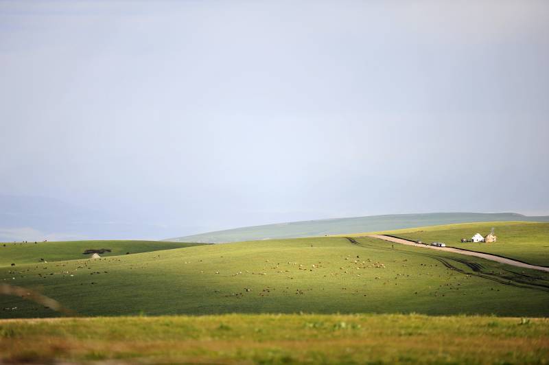 新疆草原公路远行图片
