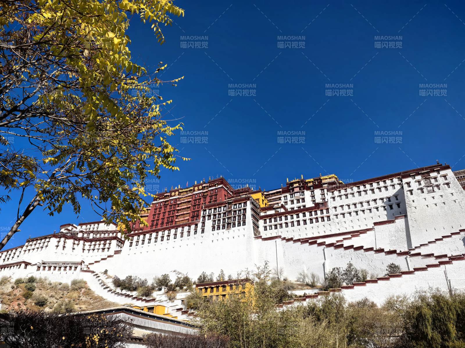 布达拉宫风光图片