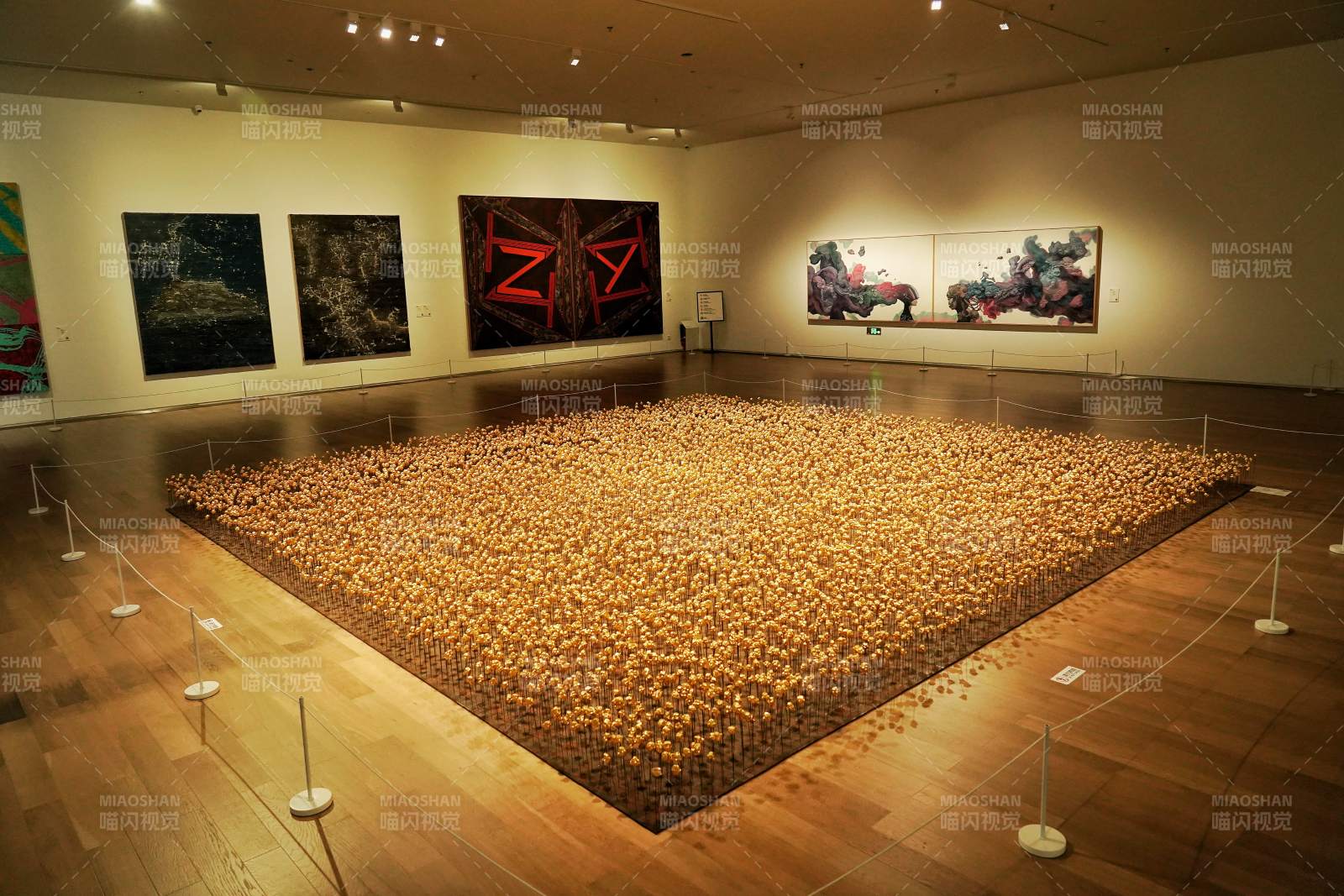 成都金色海洋艺术展图片