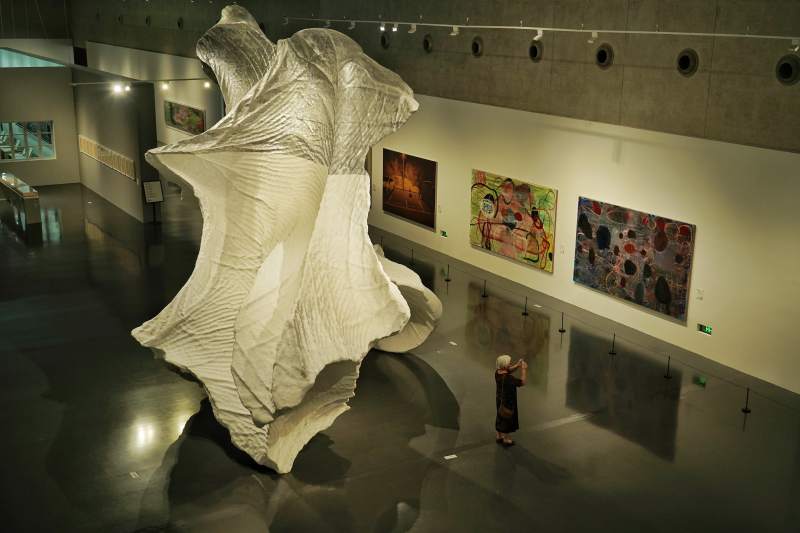 成都巨壳艺术展图片