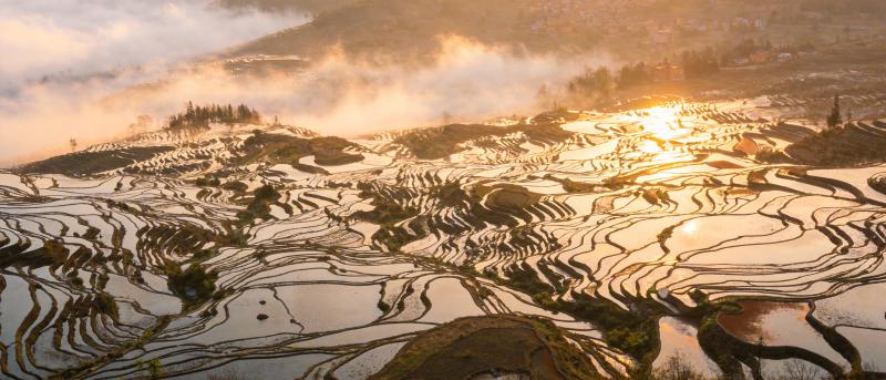 梯田晨曦图片